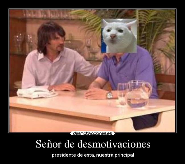 Señor de desmotivaciones - presidente de esta, nuestra principal
