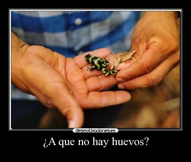 ¿A que no hay huevos? - 