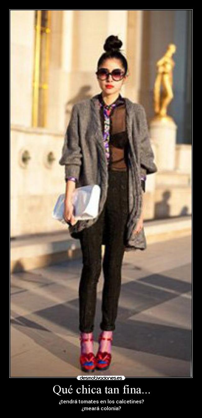 carteles chica fina desmotivaciones