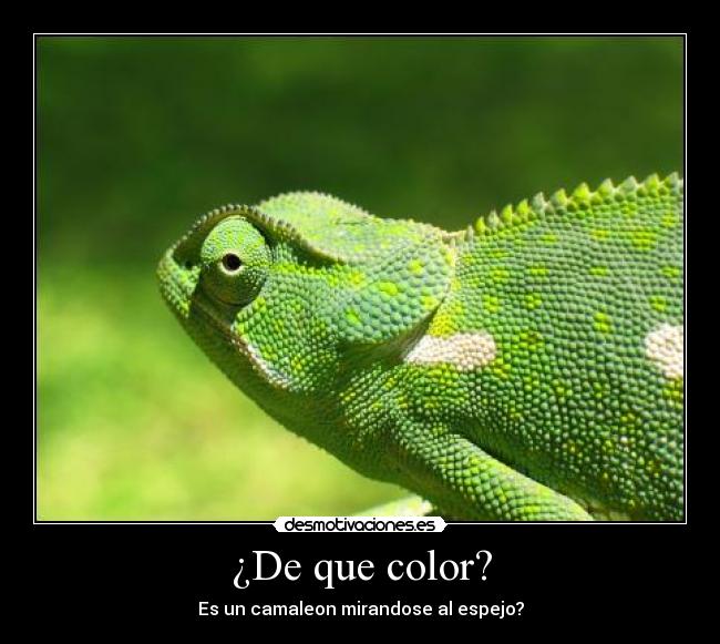 ¿De que color? - 
