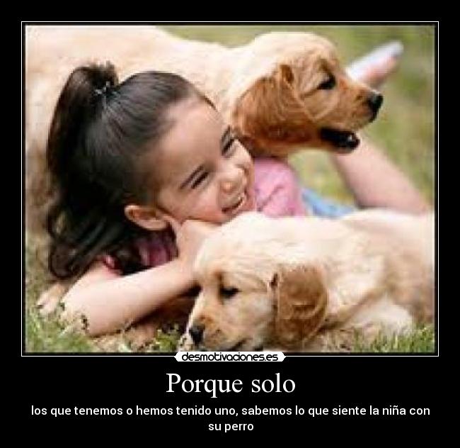 Porque solo - 