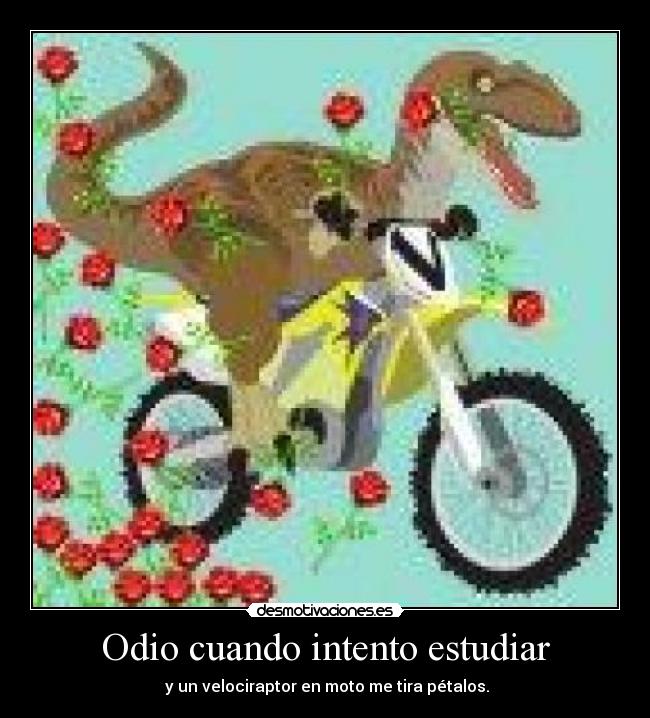 Odio cuando intento estudiar -  y un velociraptor en moto me tira pétalos.