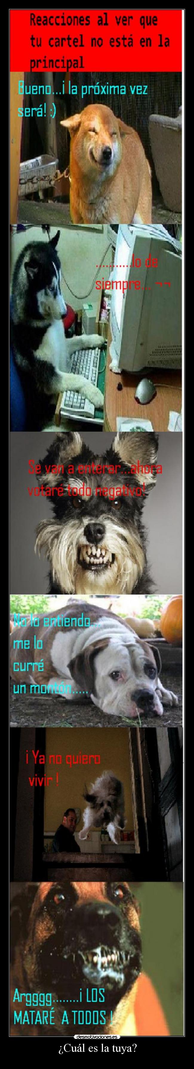 ¿Cuál es la tuya? -