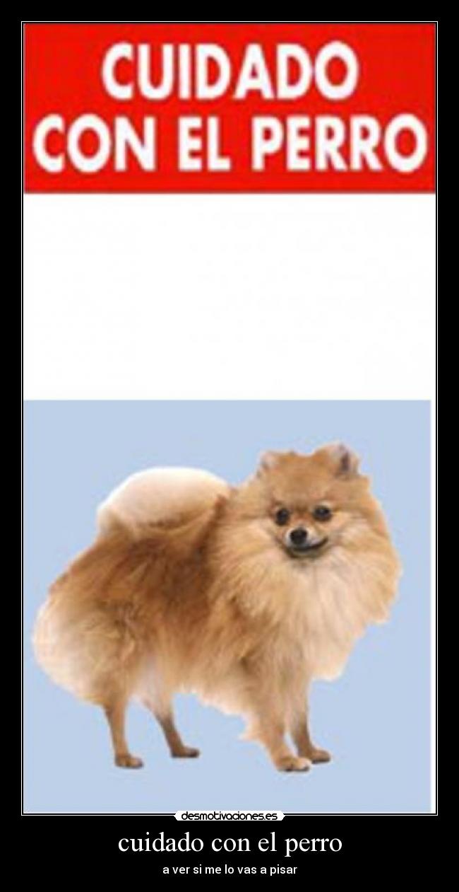 cuidado con el perro -