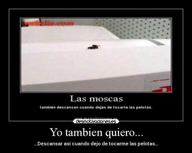Yo tambien quiero... - ...Descansar así cuando dejo de tocarme las pelotas...