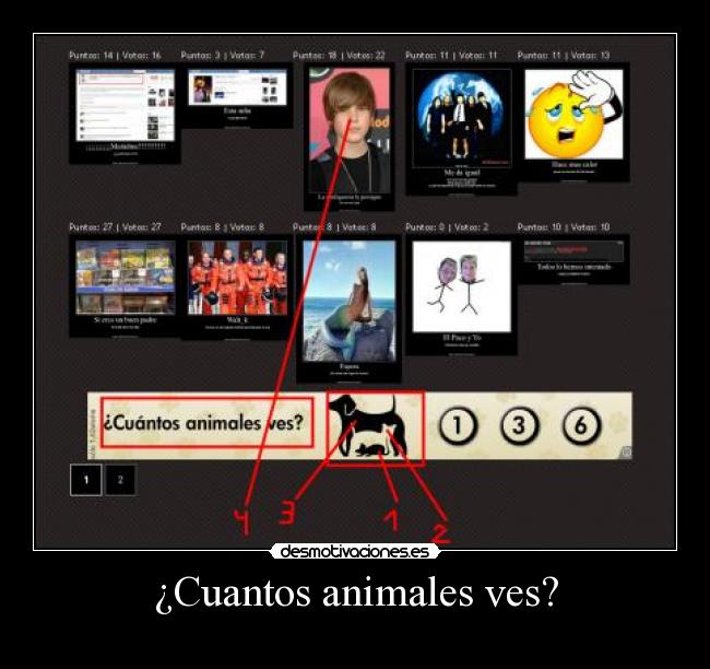 ¿Cuantos animales ves? - 