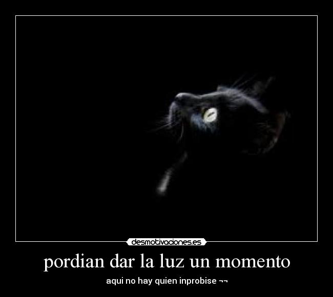 carteles gatosnegro desmotivaciones