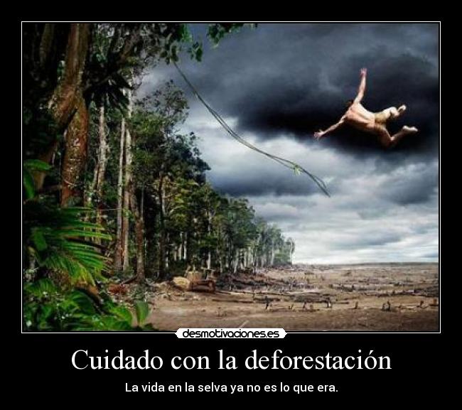 Cuidado con la deforestación - 