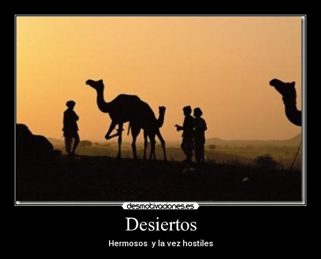 Desiertos - 