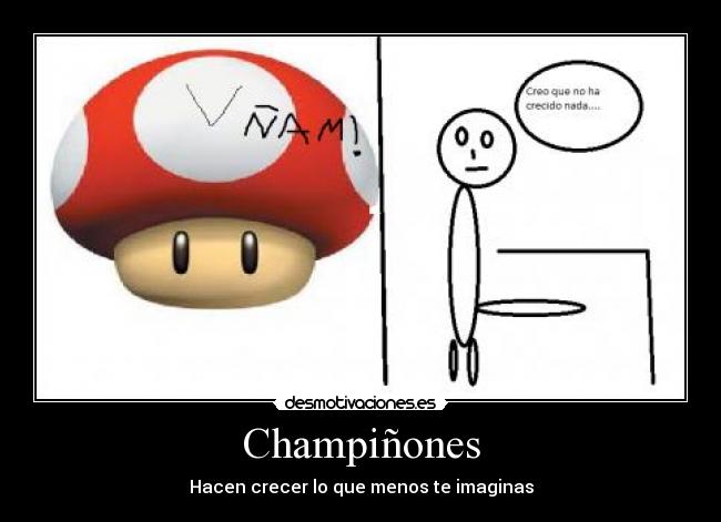Champiñones -