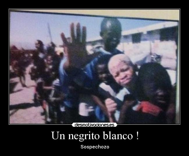 carteles africa desmotivaciones
