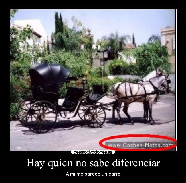 Hay quien no sabe diferenciar -