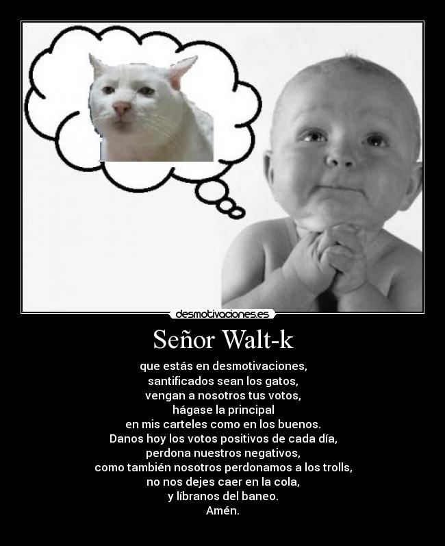 Señor Walt-k - 