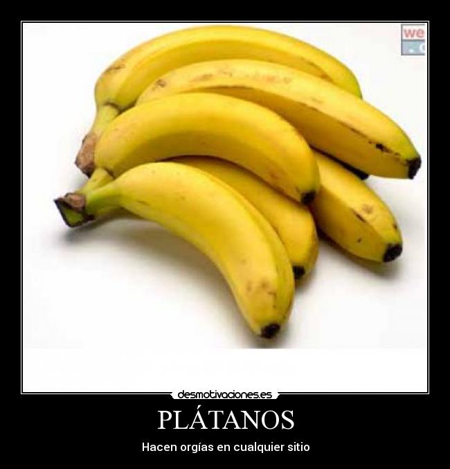 PLÁTANOS - Hacen orgías en cualquier sitio