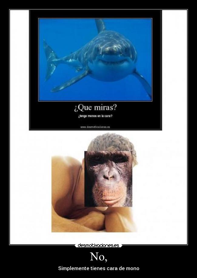 No, - Simplemente tienes cara de mono