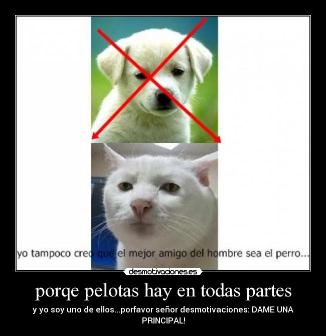 carteles senor desmotivaciones desmotivaciones