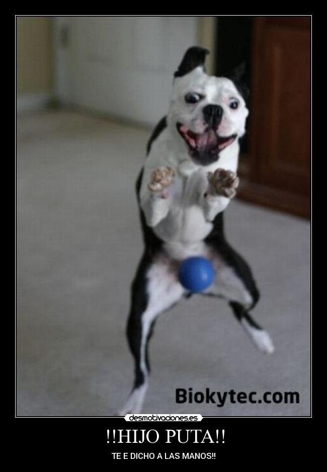 !!HIJO PUTA!! - 