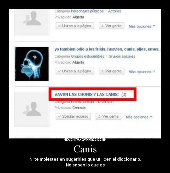 carteles canis desmotivaciones