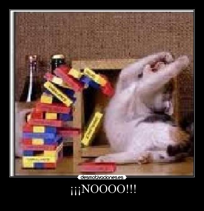 ¡¡¡NOOOO!!! - 