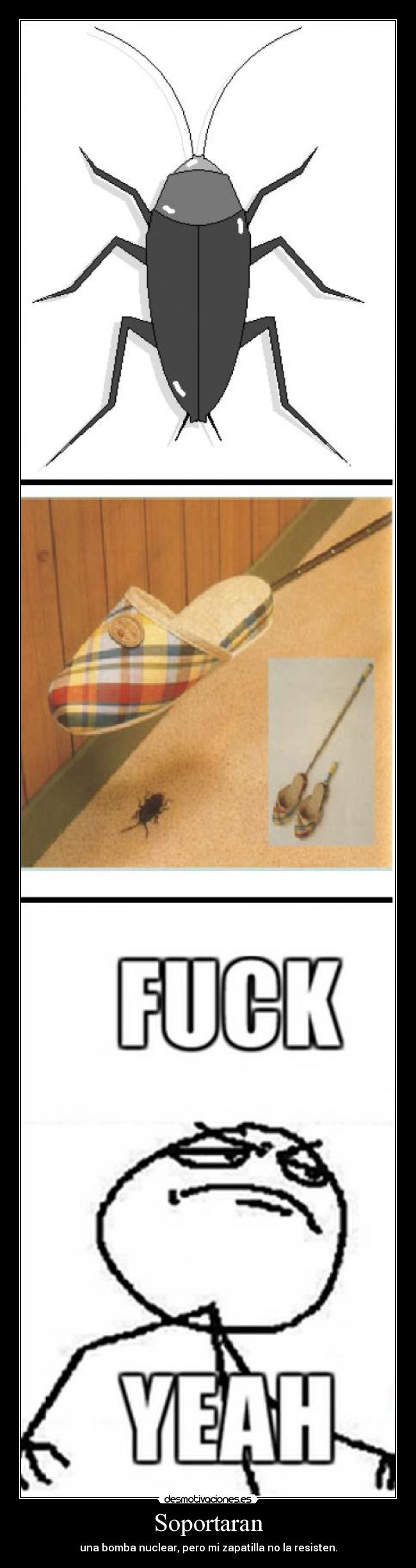 carteles cucarachas fuck yeah desmotivaciones