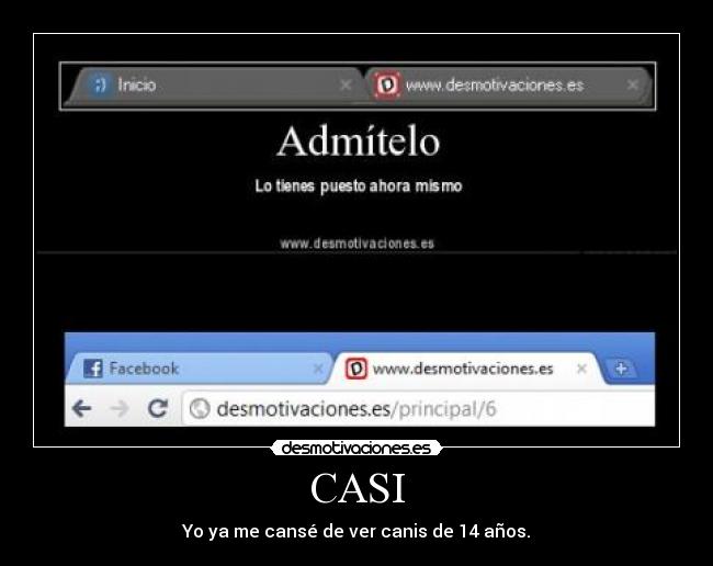 CASI - Yo ya me cansé de ver canis de 14 años.