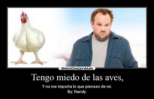 Tengo miedo de las aves, - 