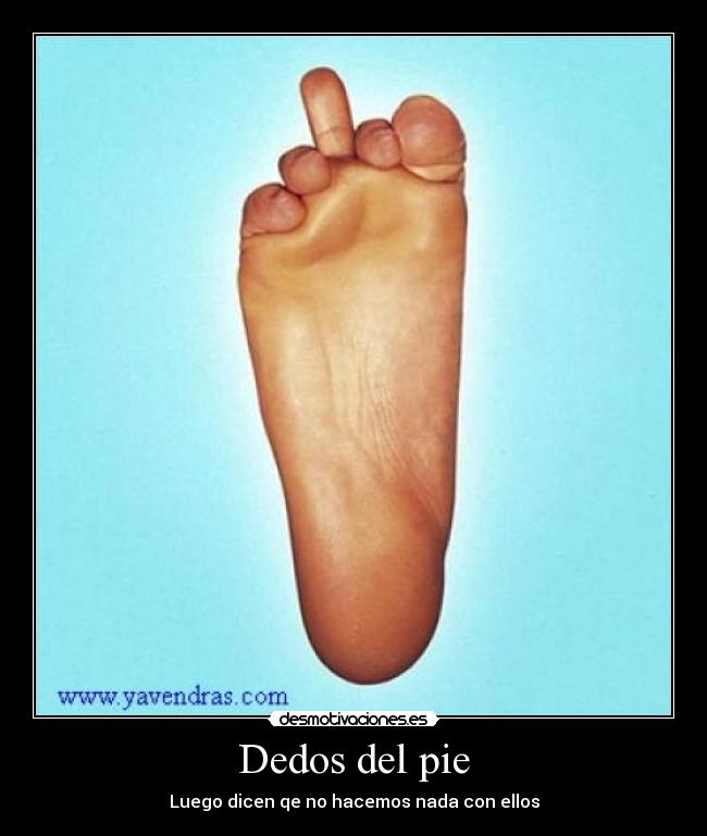 Dedos del pie - Luego dicen qe no hacemos nada con ellos