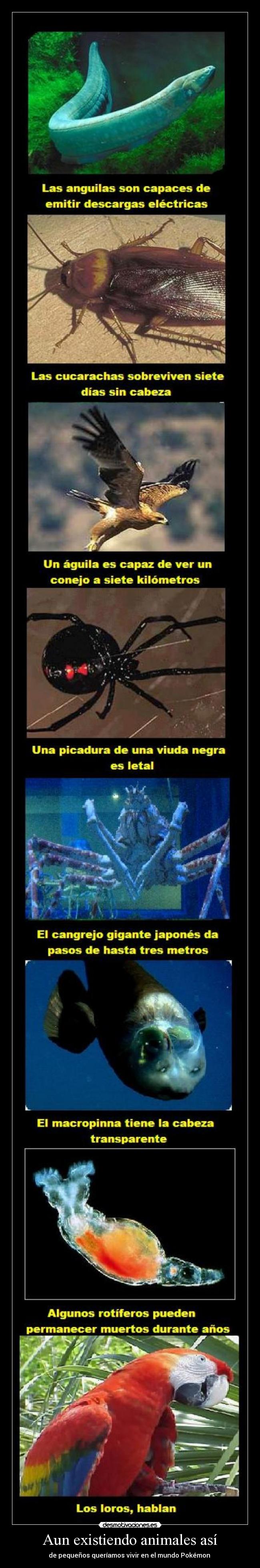 Aun existiendo animales así - 