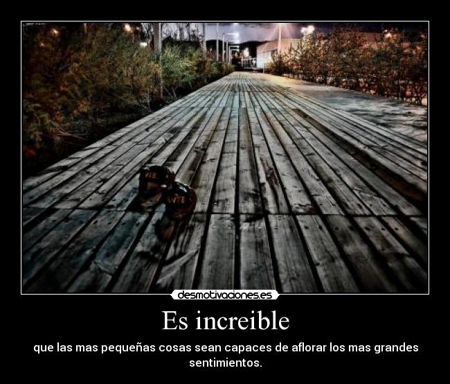 Es increible - 