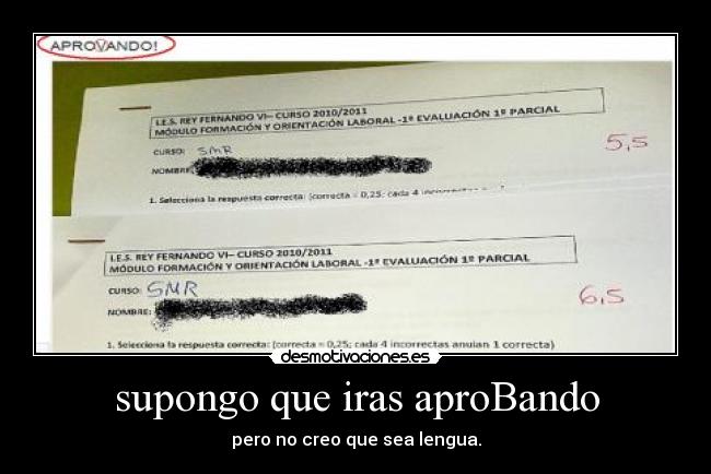 supongo que iras aproBando - 