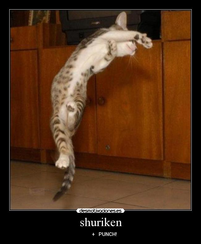 shuriken - ▲►▼ + PUNCH!