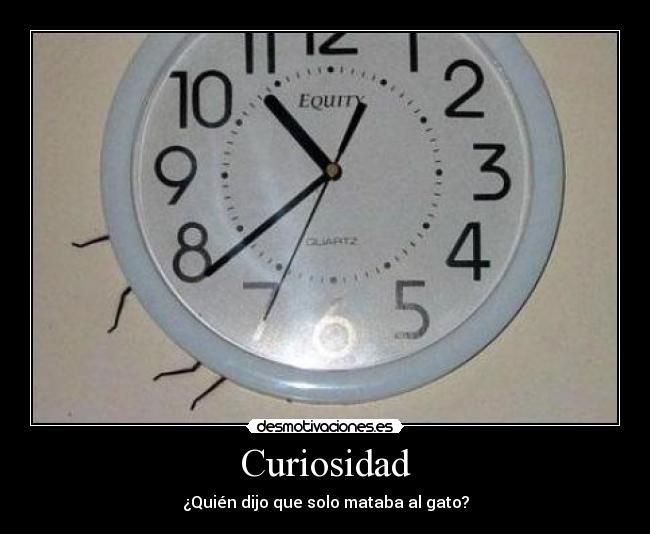 Curiosidad - ¿Quién dijo que solo mataba al gato?