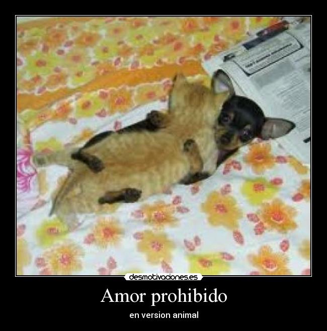 Amor prohibido -