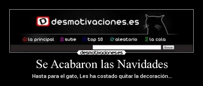 Se Acabaron las Navidades - Hasta para el gato, Les ha costado quitar la decoración...