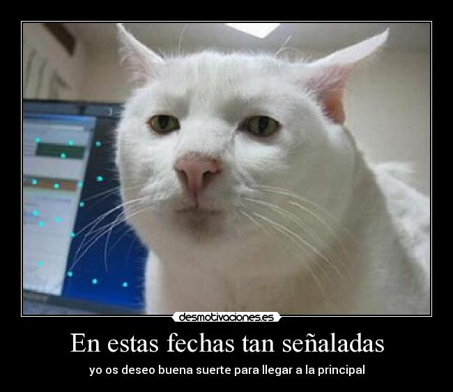 En estas fechas tan señaladas -