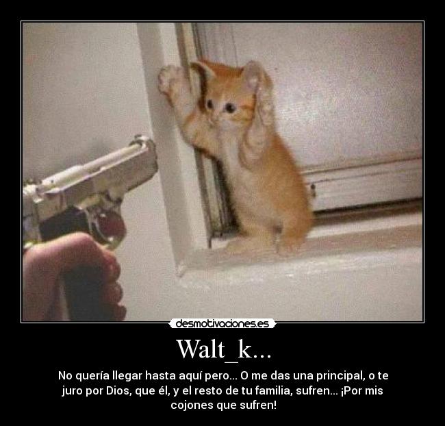 carteles walt_k principal gatospistola amenaza terrorismo familia cola etiqueta magica troll desmotivaciones