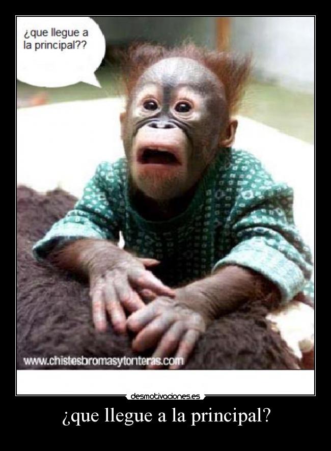 ¿que llegue a la principal? -