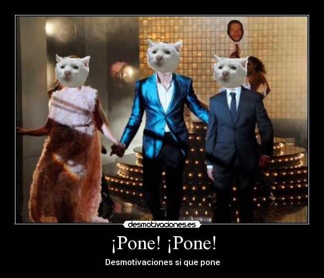 ¡Pone! ¡Pone! - 