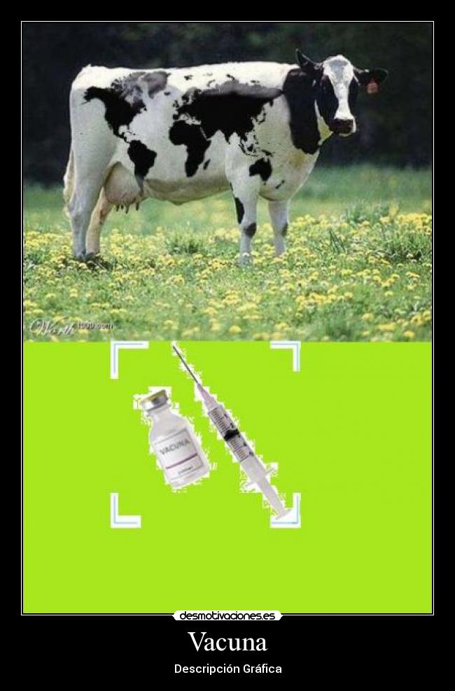 Vacuna - 