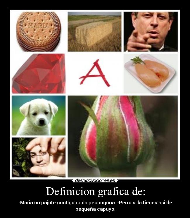 Definicion grafica de: - -Maria un pajote contigo rubia pechugona. -Perro si la tienes asi de pequeña capuyo.