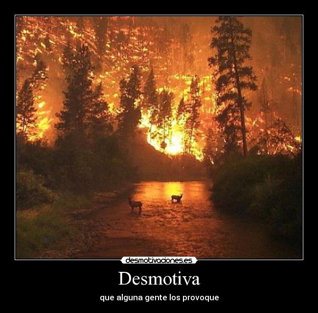 Desmotiva - 