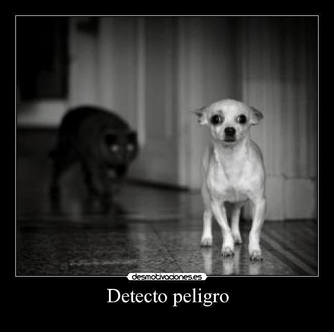 Detecto peligro - 