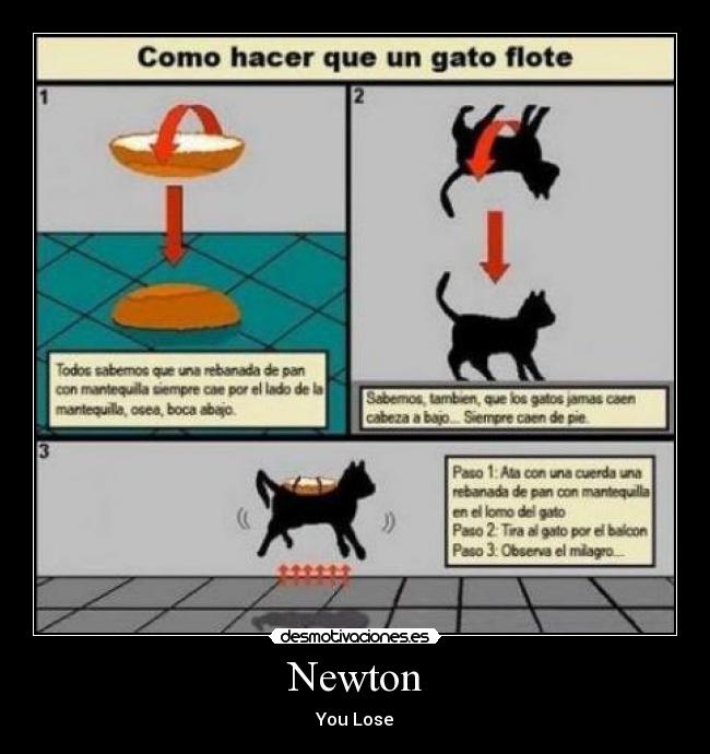 Newton - You Lose