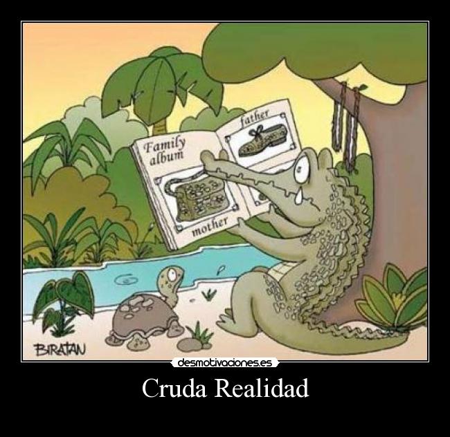 carteles cocodrilos desmotivaciones