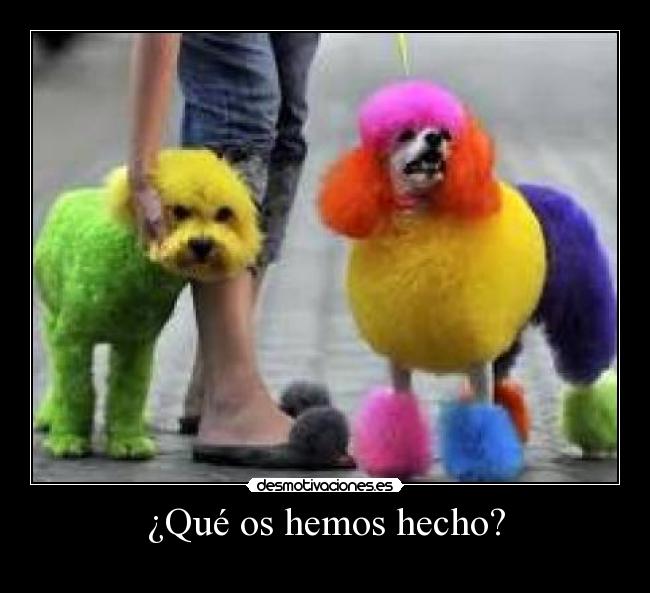 ¿Qué os hemos hecho? -