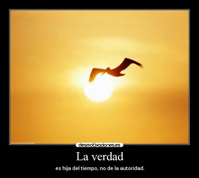 La verdad -