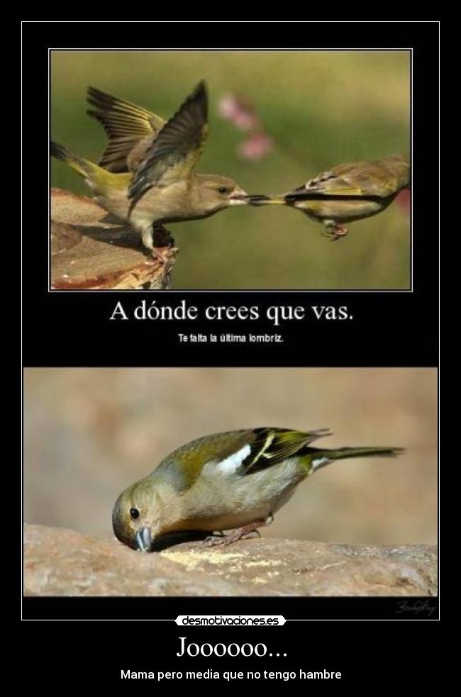 Joooooo... - Mama pero media que no tengo hambre