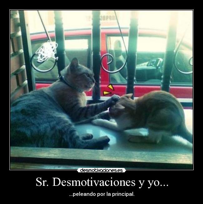 Sr. Desmotivaciones y yo... - 