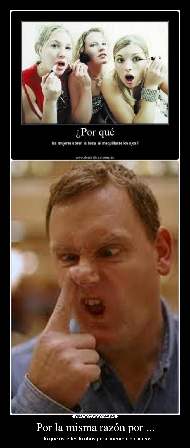 Por la misma razón por ... - ... la que ustedes la abrís para sacaros los mocos