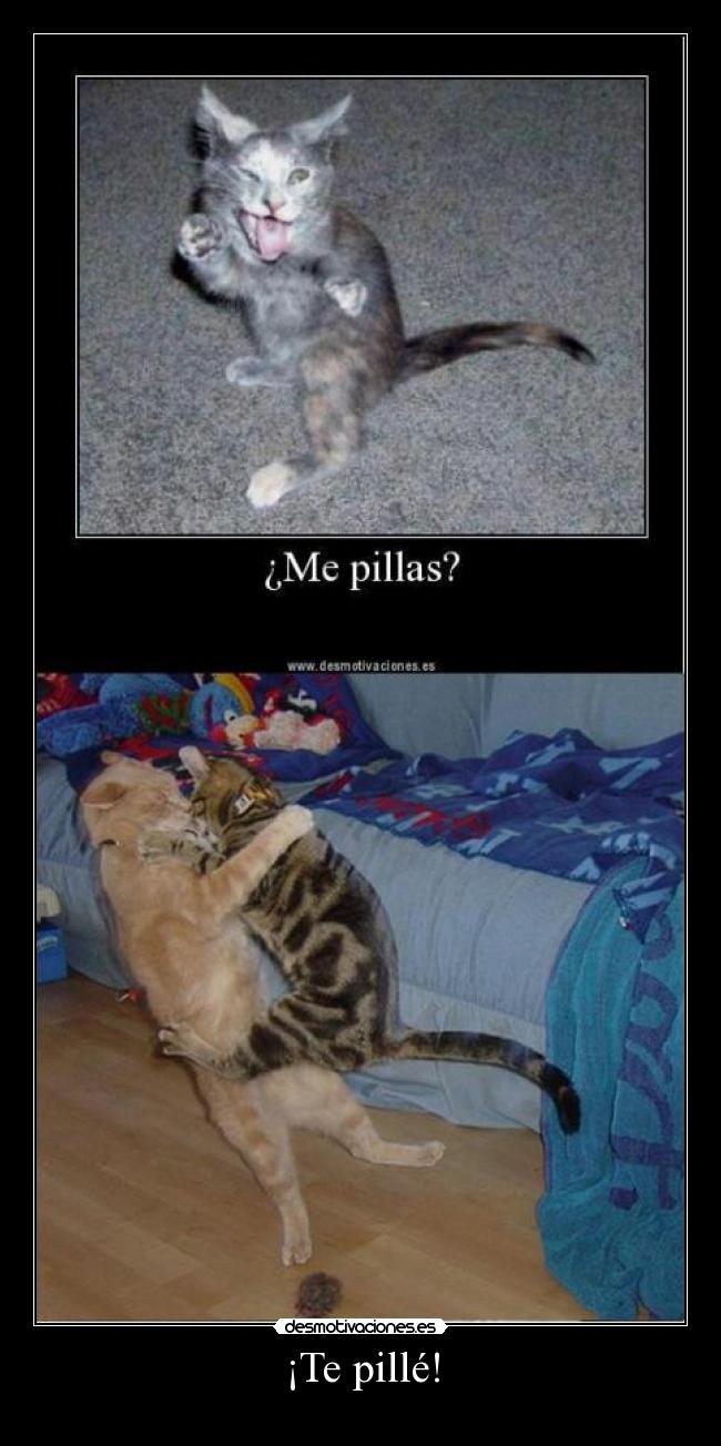¡Te pillé! - 
